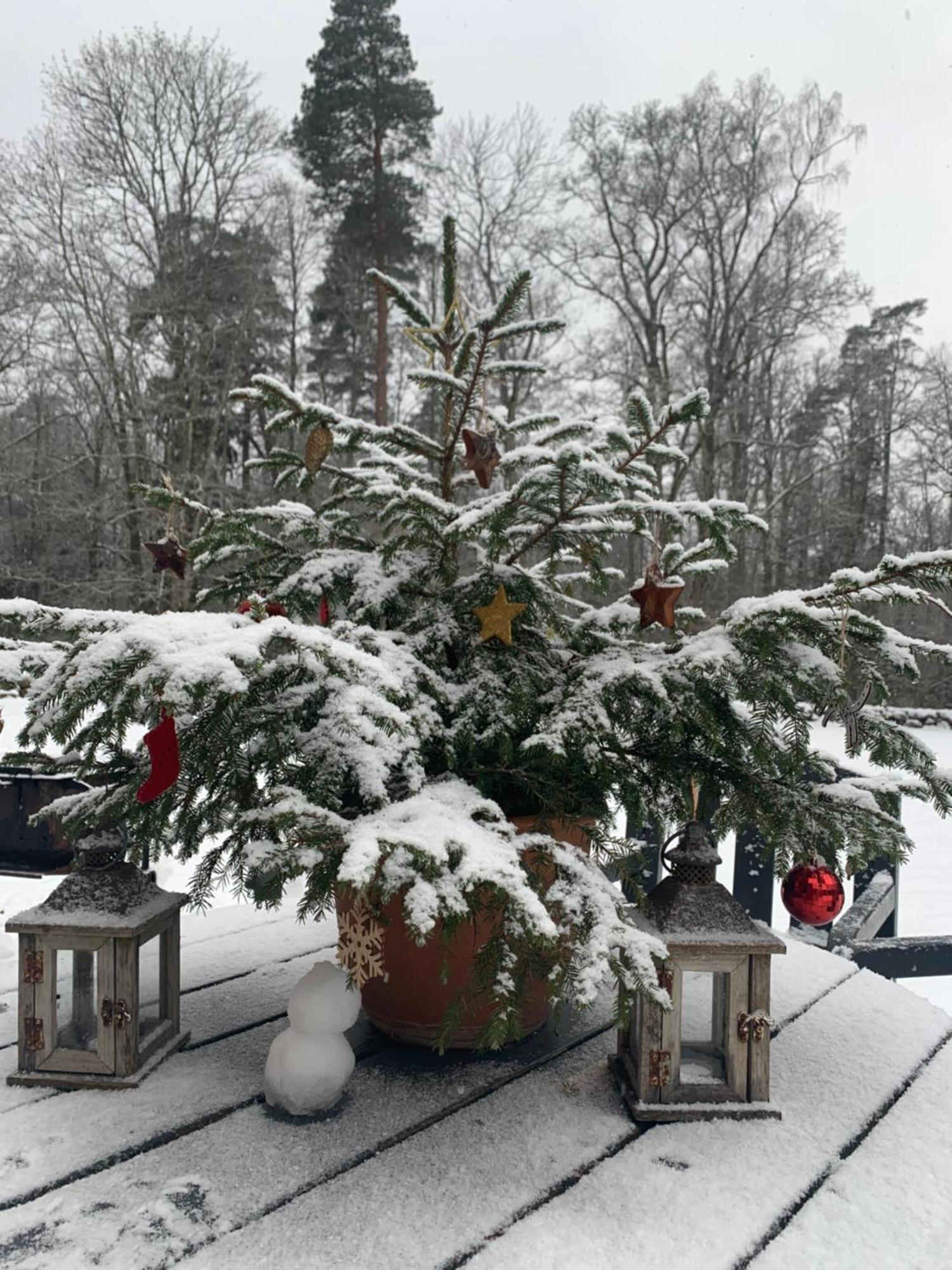 Mednieku Namins Villa Sigulda Eksteriør billede